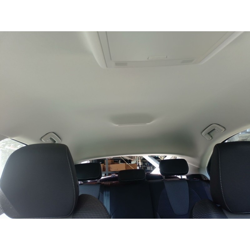 Recambio de techo interior para skoda octavia iv (nx3, nn3, pv3) 2.0 tdi referencia OEM IAM   