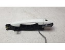 MANETA EXTERIOR DELANTERA IZQUIERDA DA6D5941X13 DA6D5941X13 
