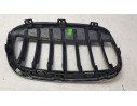 REJILLA DELANTERA 7354823 2141531