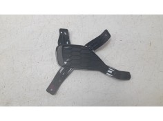MOLDURA PARAGOLPE DELANTERA IZQUIERDA 10699380 