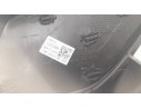 MOLDURA PARAGOLPE DELANTERA IZQUIERDA 10699380 10699380 