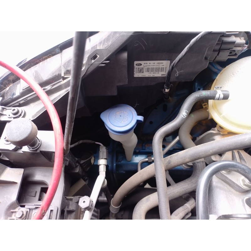 Recambio de deposito limpia para ford puma (j2k, cf7) 1.0 ecoboost mhev referencia OEM IAM   
