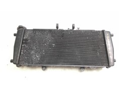 RADIADOR AGUA 17118525833 