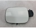 TAPA EXTERIOR COMBUSTIBLE 9817500680 9817500680 