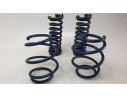 MUELLE AMORTIGUACION D1000776B D1000776B 