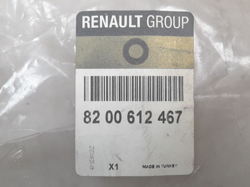 Recambio de guarnecido porton trasero para renault clio iii (br0/1, cr0/1) 1.2 16v referencia OEM IAM 8200612467  