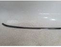 MOLDURA 51377300020 51377300020 