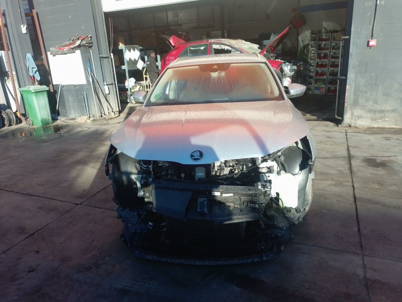 skoda octavia iv (nx3, nn3, pv3) del año 2024