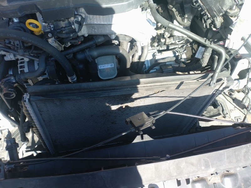 Recambio de radiador agua para skoda octavia iv (nx3, nn3, pv3) 2.0 tdi referencia OEM IAM   