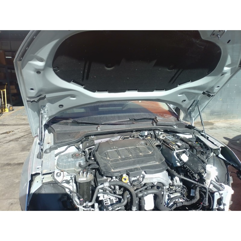 Recambio de amortiguadores capo para skoda octavia iv (nx3, nn3, pv3) 2.0 tdi referencia OEM IAM   