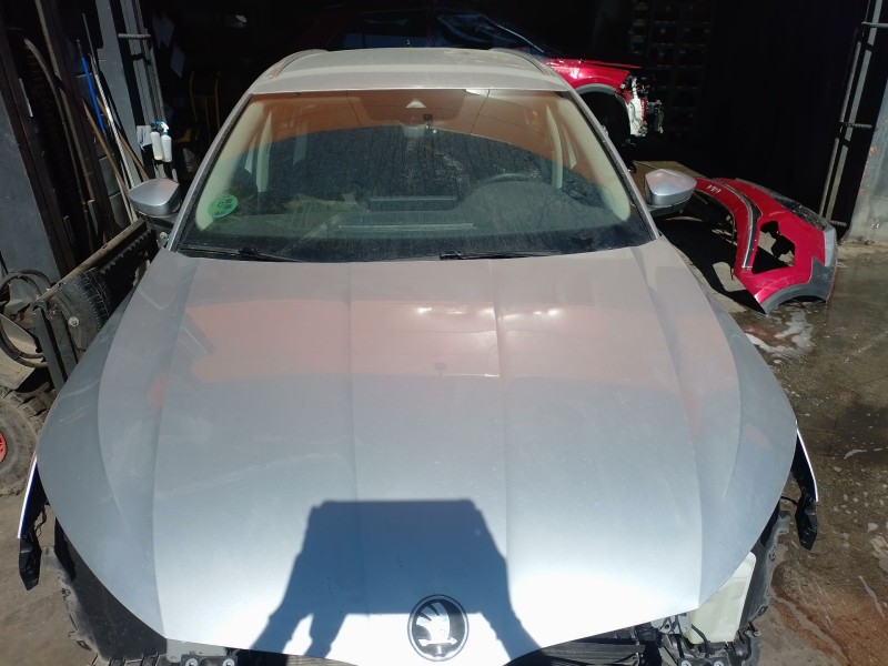 Recambio de capo para skoda octavia iv (nx3, nn3, pv3) 2.0 tdi referencia OEM IAM   