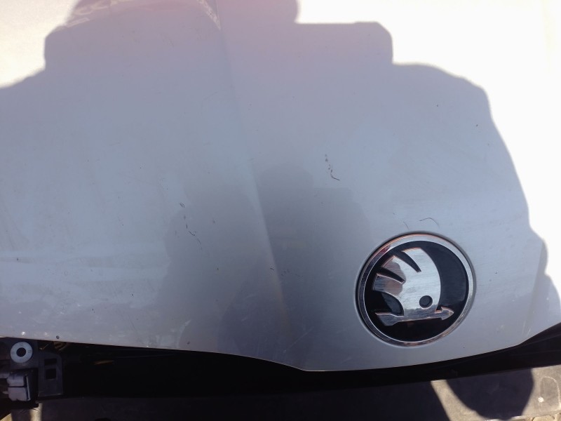 Recambio de capo para skoda octavia iv (nx3, nn3, pv3) 2.0 tdi referencia OEM IAM   