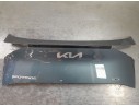 MOLDURA 87310R2020 87310R2020 