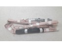 AIRBAG CORTINA DELANTERO IZQUIERDO CN15A042D95AD 