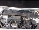 TORPEDO 10319887 10319887 