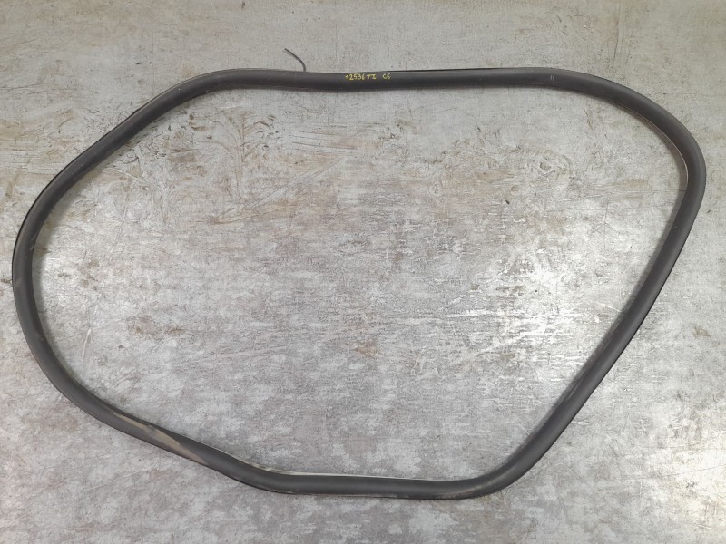 Recambio de gomas contorno puerta para citroën c5 iii (rd_) 2.0 hdi 140 referencia OEM IAM   