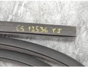 GOMAS CONTORNO PUERTA 