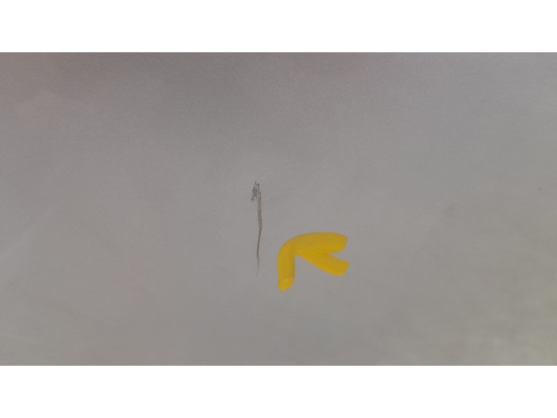 Recambio de puerta trasera izquierda para toyota corolla fastback (_e21_) 1.8 hybrid (zwe211) referencia OEM IAM 6700402540  