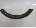 ALETIN TRASERO DERECHO YQ009411XT 
