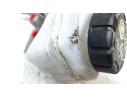 BOMBA FRENO 460915125R 460915125R 
