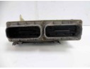 CAJA RELES / FUSIBLES 09131732 09131732 10252619