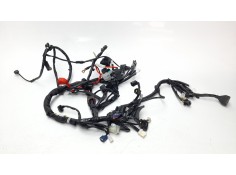 MODULO ELECTRONICO 1WS8259001 