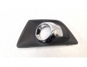 REJILLA PARAGOLPES IZQUIERDA 1817900 1817900 FD7502134 107106516