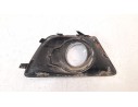 REJILLA PARAGOLPES IZQUIERDA 1817900 1817900 FD7502134 107106516