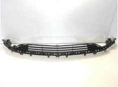 REJILLA PARAGOLPES DELANTERO 42506905 OP7022120