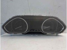 CUADRO INSTRUMENTOS 9810204880 