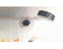 BOMBA FRENO 172022047R 172022047R 460915125R