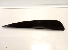 MOLDURAS TRASERAS 9677096080 