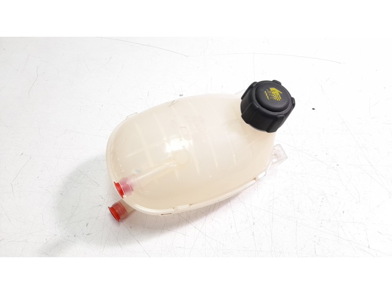 Recambio de deposito expansion para renault captur ii 1.0 tce referencia OEM IAM 217102572R  