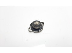 Recambio de deposito expansion para kawasaki z 900 z 900 performance referencia OEM IAM 7Y29   2