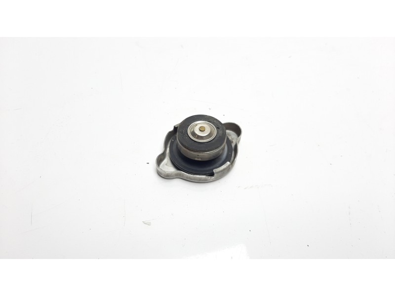 Recambio de deposito expansion para kawasaki z 900 z 900 performance referencia OEM IAM 7Y29  