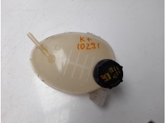 DEPOSITO EXPANSION GN118A080 