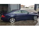 MERCEDES-BENZ CLASE CLS (W219)