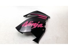 CARENADO DELANTERO DERECHO 550280687660 