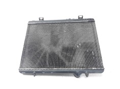 Recambio de radiador agua para citroen c5 berlina 1.6 hdi cat (9hy / dv6ted4) referencia OEM IAM 9645586980 35649 11440005286 2