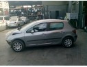 PEUGEOT 307 (S1)
