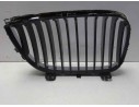 REJILLA DELANTERA 51137166439 51137166439 BM1212004 107061305
