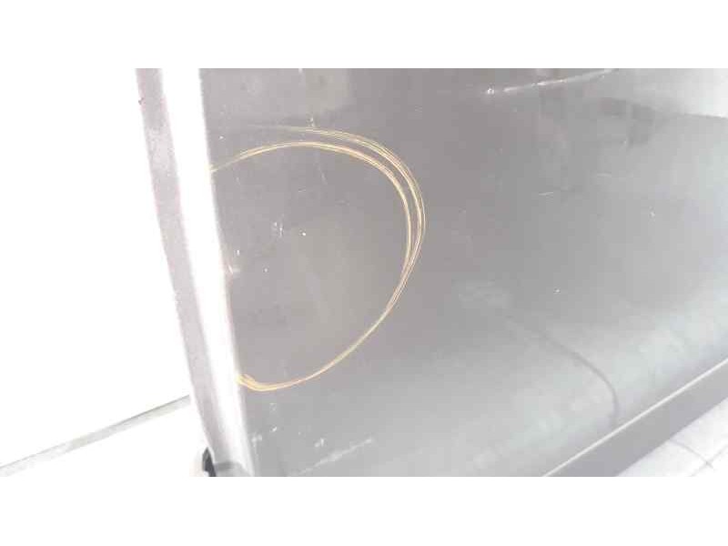 Recambio de puerta trasera izquierda para renault scenic iii dynamique referencia OEM IAM 821017991R  