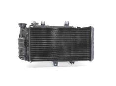 RADIADOR AGUA 17117678284 