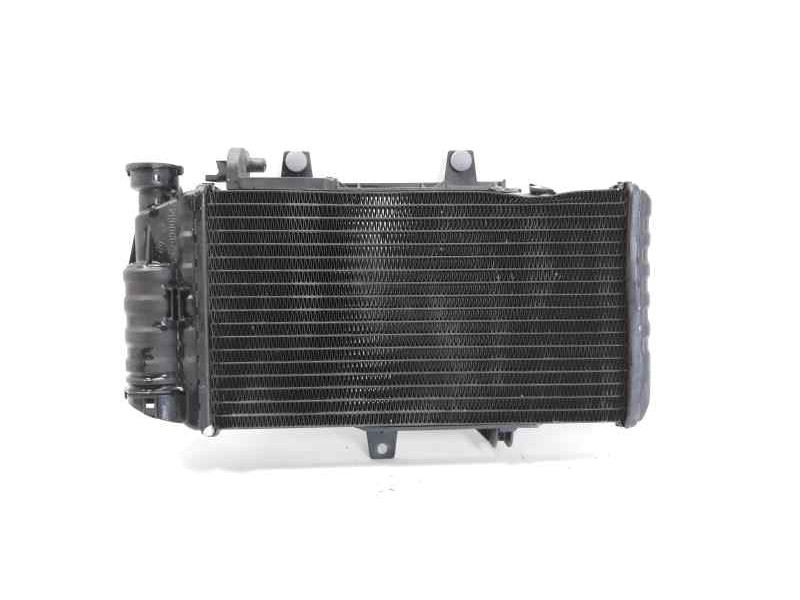 Recambio de radiador agua para bmw f 700 gs f 700 gs referencia OEM IAM 17117678284  