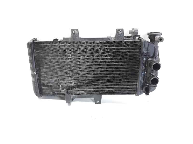 Recambio de radiador agua para bmw f 700 gs f 700 gs referencia OEM IAM 17117678284  