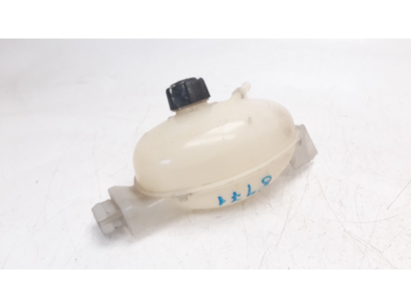 Recambio de deposito expansion para renault master kasten referencia OEM IAM 217100015R  