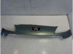 REJILLA DELANTERA 7804R7 107172505 