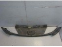 REJILLA DELANTERA 7804R7 107172505 