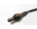 SONDA LAMBDA 55560612 