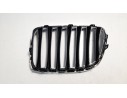 REJILLA DELANTERA 51112993306 107062404 BM7022023